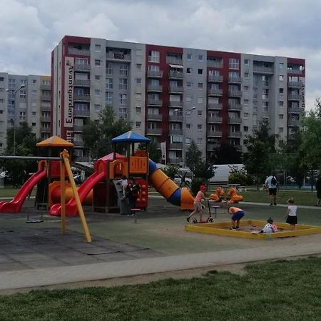 Studio 70 Braşov Exterior foto